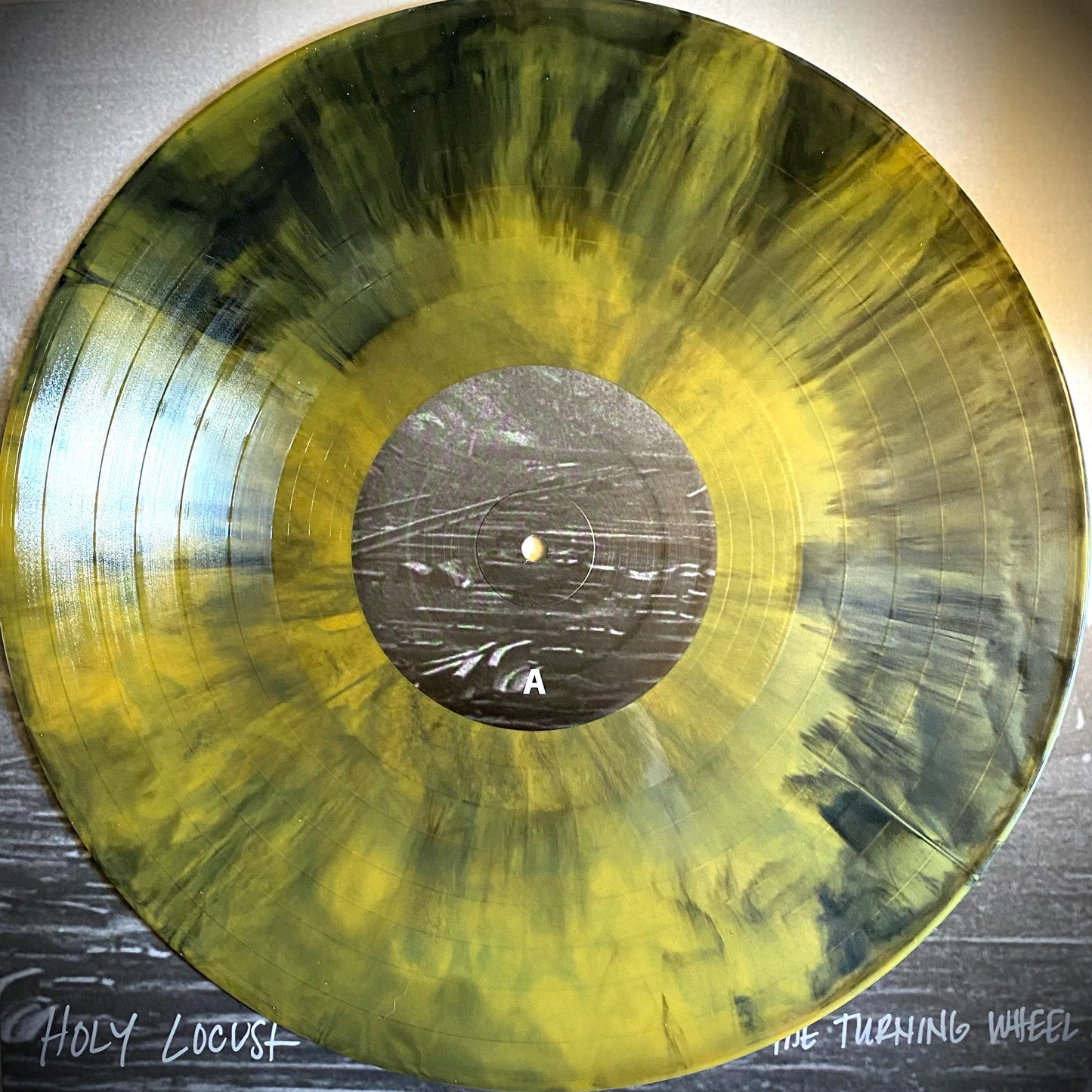 Holy Locust - "Beneath the Turning Wheel" Vinyl